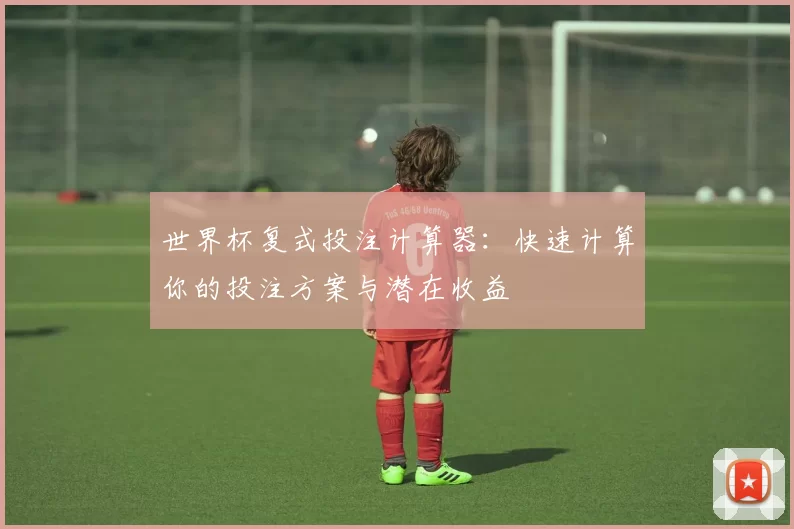 世界杯复式投注计算器:快速计算你的投注方案与潜在收益