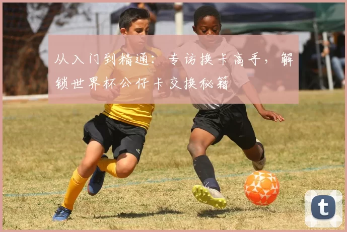 从入门到精通:专访换卡高手,解锁世界杯公仔卡交换秘籍