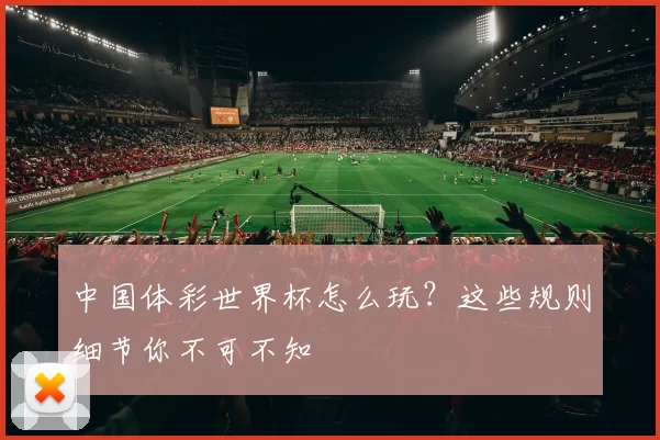 中国体彩世界杯怎么玩?这些规则细节你不可不知