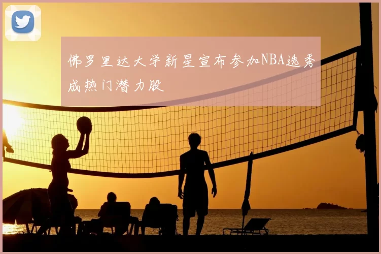 佛罗里达大学新星宣布参加NBA选秀成热门潜力股