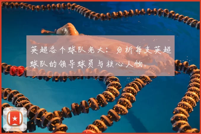 英超各个球队老大：分析每支英超球队的领导球员与核心人物。