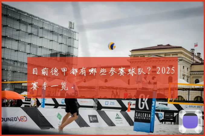 目前德甲都有哪些参赛球队？2025赛季一览 .