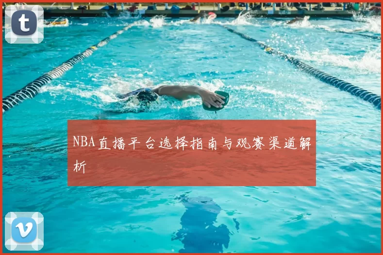 NBA直播平台选择指南与观赛渠道解析
