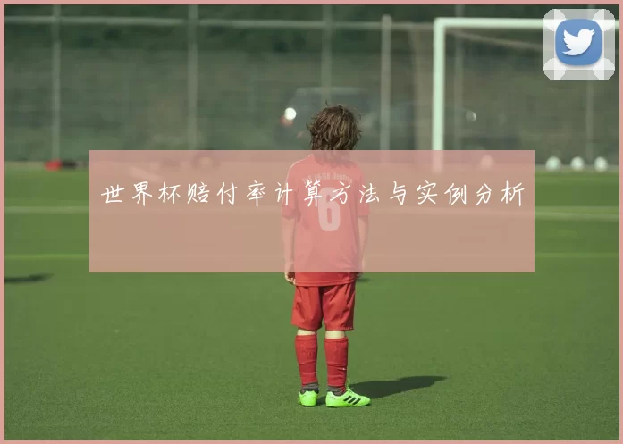 世界杯赔付率计算方法与实例分析