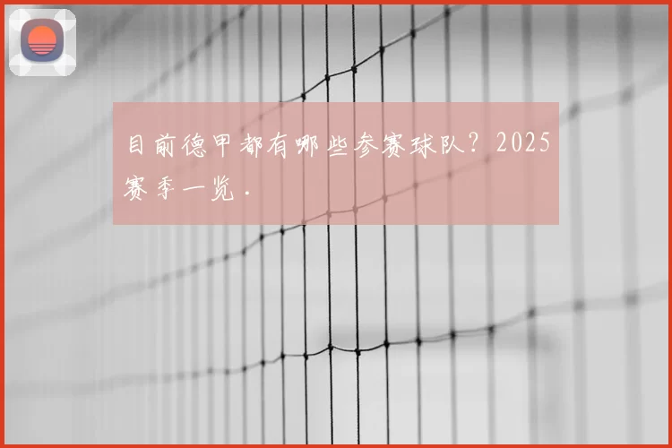 目前德甲都有哪些参赛球队？2025赛季一览 .