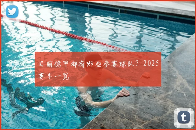 目前德甲都有哪些参赛球队？2025赛季一览
