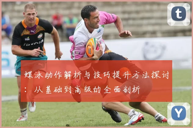 蝶泳动作解析与技巧提升方法探讨：从基础到高级的全面剖析