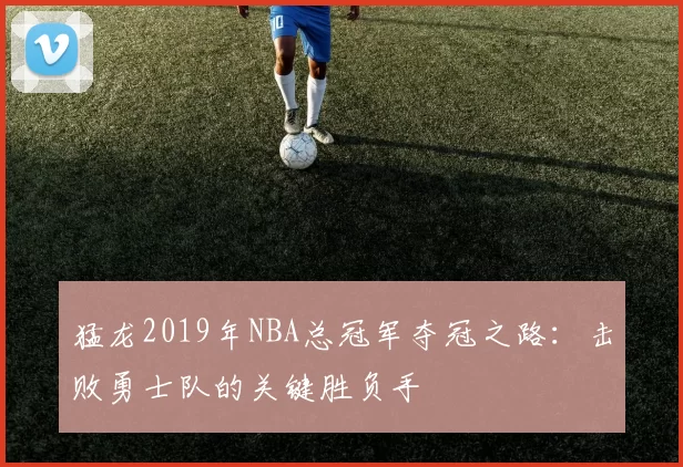 猛龙2019年NBA总冠军夺冠之路：击败勇士队的关键胜负手