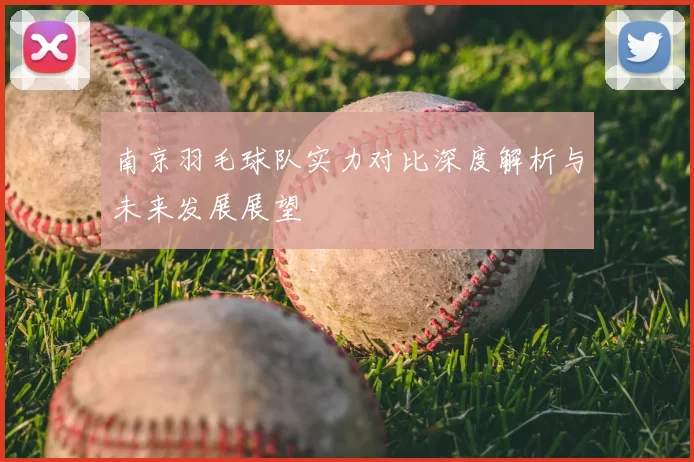 南京羽毛球队实力对比深度解析与未来发展展望
