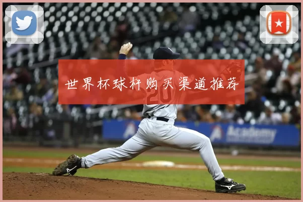 世界杯球杆购买渠道推荐
