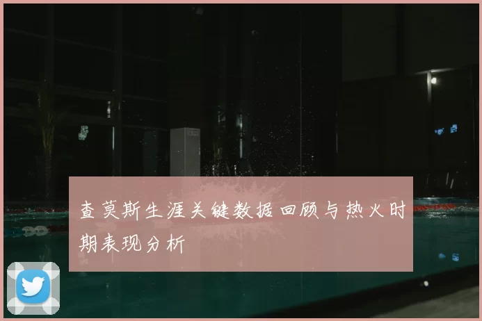 查莫斯生涯关键数据回顾与热火时期表现分析