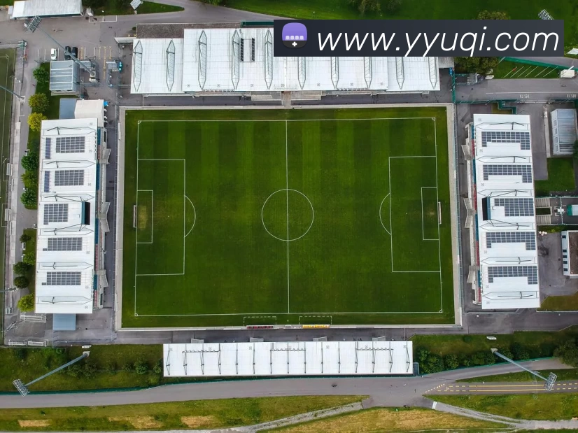 星空体育APP 封面图